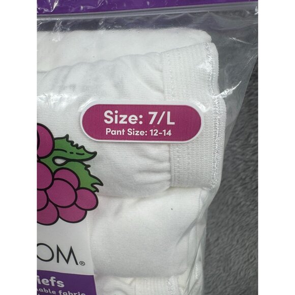 Fruit Of The Loom Womens Cotton Briefs 10 Pack Size 7/L White Eversoft Breathabl - Picture 3 of 4